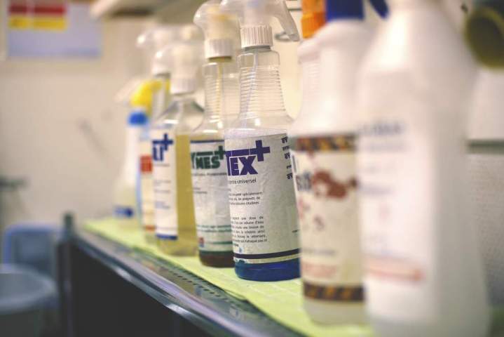  DSC3087 copie resized 20251105 032549105