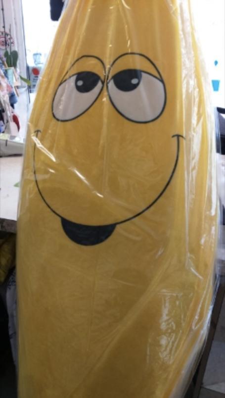 Teinturier Athis-Mons